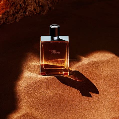 terre d hermes fragrance|terre d Hermes notes.